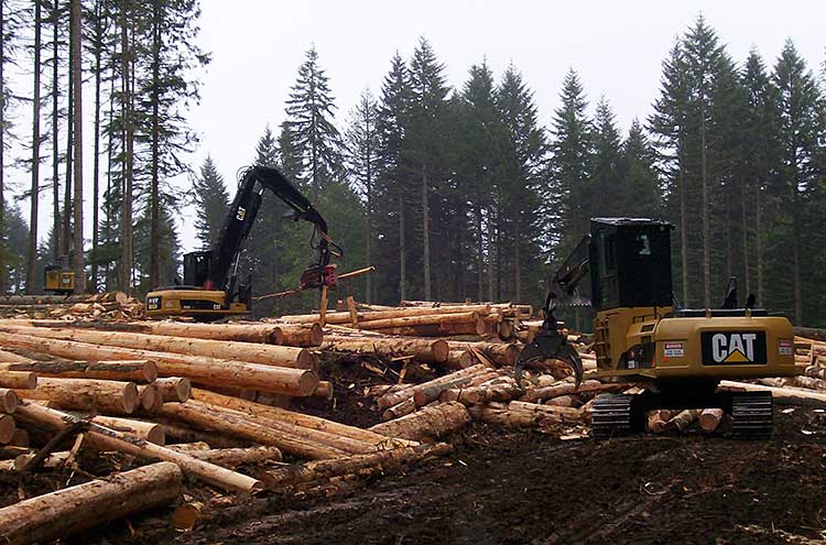 Forestry Equipment Lubrication Installation